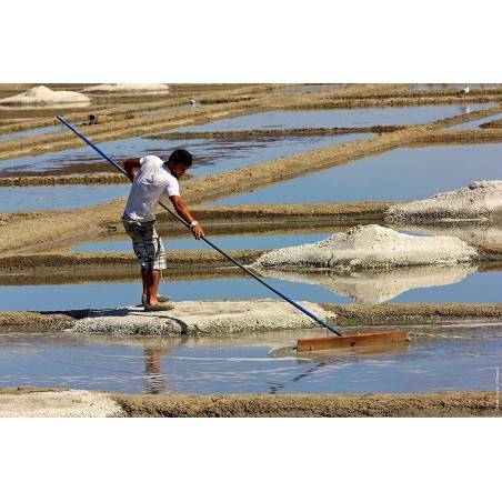 Peugeot Oleron Wet Sea Salt Mill - Mimocook