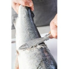 Descamador com forma de peixe Kitchen Craft - Mimocook