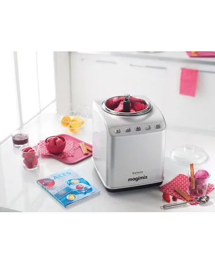 Magimix ice cream maker Gelato expert