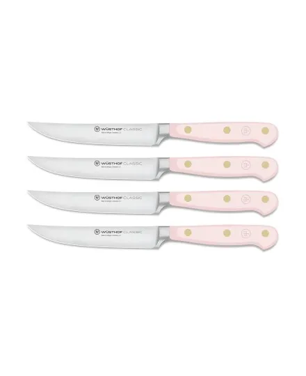 Kombigerät für Messer Wusthof Classic Colour - Mimocook