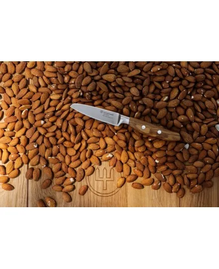 Faca de legumes 9cm Amici Wusthof