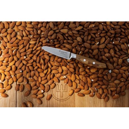 Faca de legumes 9cm Amici Wusthof