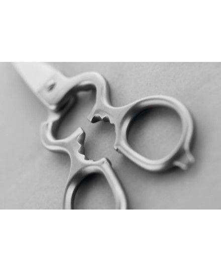 Wüsthof Stainless Kitchen Shears | Wusthof | Mimocook