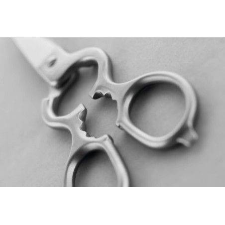 Wüsthof Stainless Kitchen Shears | Wusthof | Mimocook