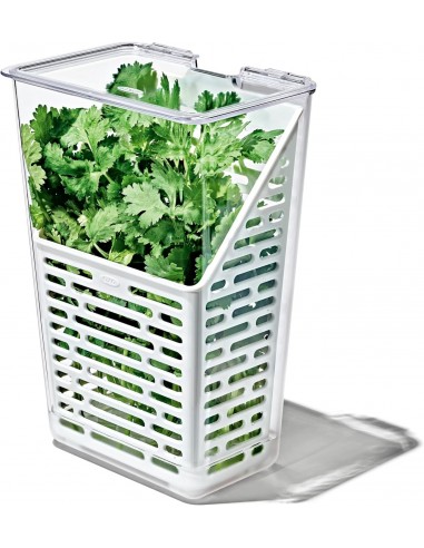 Caixa Conservação para Ervas Aromáticas  OXO - Mimocook