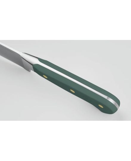 Wusthof Classic Colour Classic 4-piece Steak Knife Set | Wusthof | Mimocook