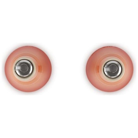 Le Creuset Stoneware Oil and Vinegar Bottle Set - Cerise