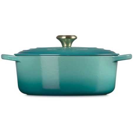 Cocotte oval de hierro fundido 27cm Le Creuset