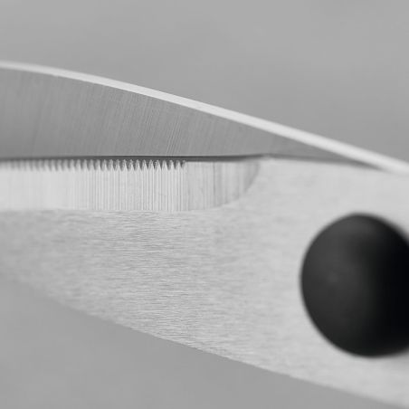 Wüsthof Ciseaux de Cuisine Démontables 7 cm | Wusthof | Mimocook
