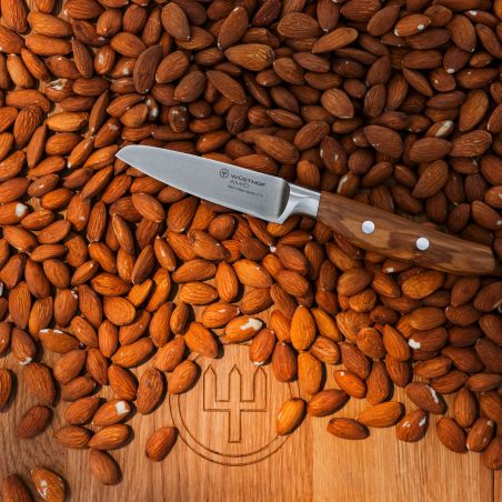 Wüsthof Amici Spickmesser 9 cm | Wusthof | Mimocook