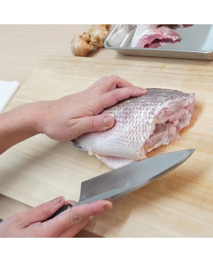 Tojiro Shirogami Faca Deba 17cm | Tojiro | Mimocook
