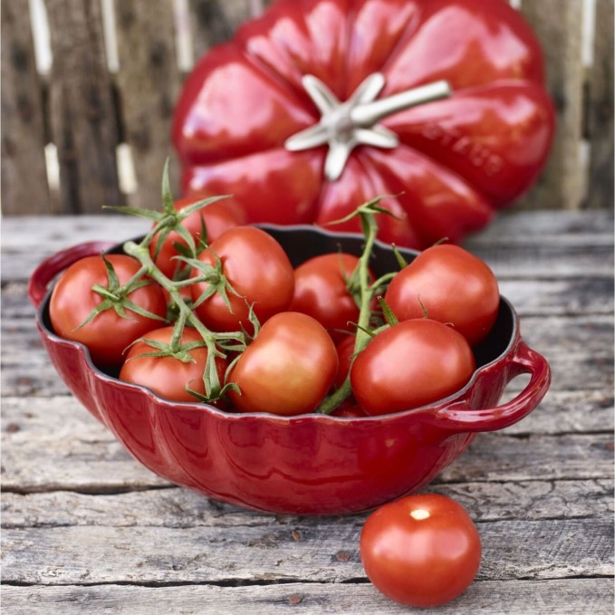 Staub Cocotte Tomate em Ferro Fundido Esmaltado 25cm | Staub | Mimocook